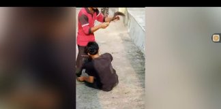 Dituduh Curi Tebu, Remaja di Lumajang Babak Belur Dimassa