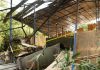 Ketel Uap Pabrik Kayu di Kunir Meledak, Puluhan Rumah Rusak