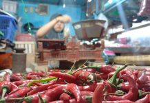 Stok Cabai di Probolinggo Minim, Disebut Banyak Dijual di Luar Daerah