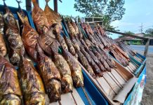 Exit Tol Gending Dibuka, Penjual Ikan Asap Pantura "Mati" Perlahan