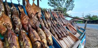 Exit Tol Gending Dibuka, Penjual Ikan Asap Pantura "Mati" Perlahan