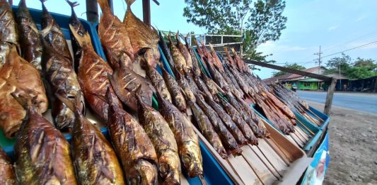 Exit Tol Gending Dibuka, Penjual Ikan Asap Pantura "Mati" Perlahan