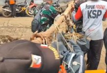 Ini Identitas Pilot dan Awak Pesawat yang Jatuh di Pasuruan