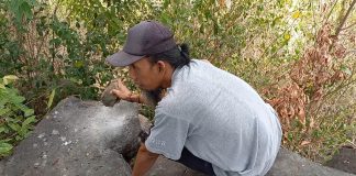 Legenda Watu Kenong dan Pengantin yang Hilang