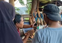Tingkat Konsumsi Ikan di Probolinggo Lampaui Jatim