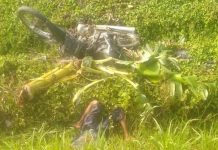 Pencari Rumput di Nguling Tewas Disambar KA hingga 4 Perlintasan KA di Kota Pasuruan Tanpa Palang | Koran Online 9 Des