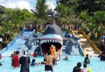 Desa Durensewu, Pasuruan: Wisata Alam yang Kaya Sejarah dan Kearifan Lokal