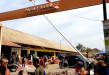 Ekspor Bawang Merah Probolinggo Lesu