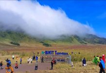Rekomendasi Jajanan di Bukit Teletubbies Bromo Mana yang Bisa Dibeli
