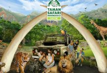 Wisata Populer di Pasuruan, Salah Satunya Gratis dan Buka 24 Jam