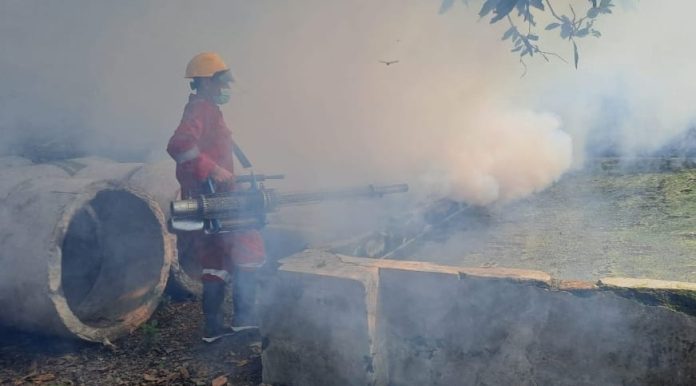 Los casos de dengue hemorrágico en Pasuruan Regency llegan a 117, 4 niños mueren