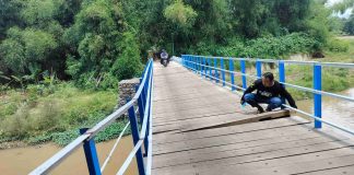 Jembatan Rp 1,1 Miliar di Probolinggo Rusak, Puluhan Baut Lepas dan Papan Lantai Longgar