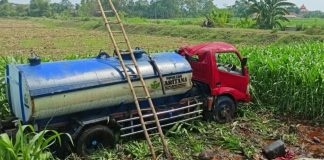 Truk Tangki Bermuatan Pupuk Cair Terguling di Sumberasih Probolinggo, Sopir Tewas Terjepit di Kabin