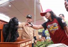 Ratusan Peternak Ramaikan Kontes di Krucil, Pemkab Probolinggo Dorong Pengembangan Peternakan dan Wisata Alam