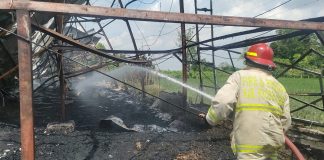 Korsleting Listrik Picu Kebakaran, 12 Ribu Ayam di Besuk Mati Terpanggang