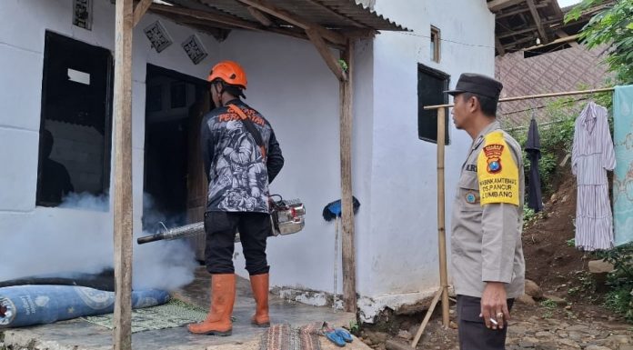 20 Warga Watulumbung Lumbang Terkena Penyakit Chikungunya