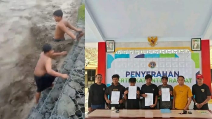 WhatsApp Image 2025-11-07 at 10.32.39