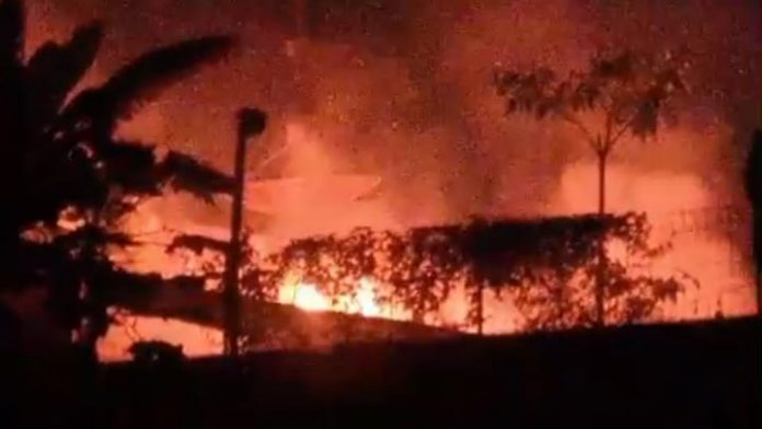 WhatsApp Image 2025-11-14 at 00.21.38