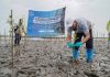Nestlé Indonesia Tanam 1.000 Mangrove di Pesisir Pasuruan