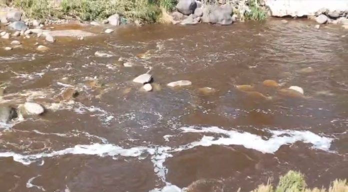 Air Kali Welang di Purwodadi Berubah Coklat hingga Waspada 3C Jelang Nataru | Koran Online 11 Des