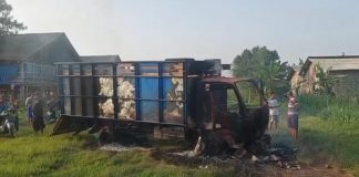Truk Diduga Angkut Sapi Curian Dibakar Warga di Probolinggo