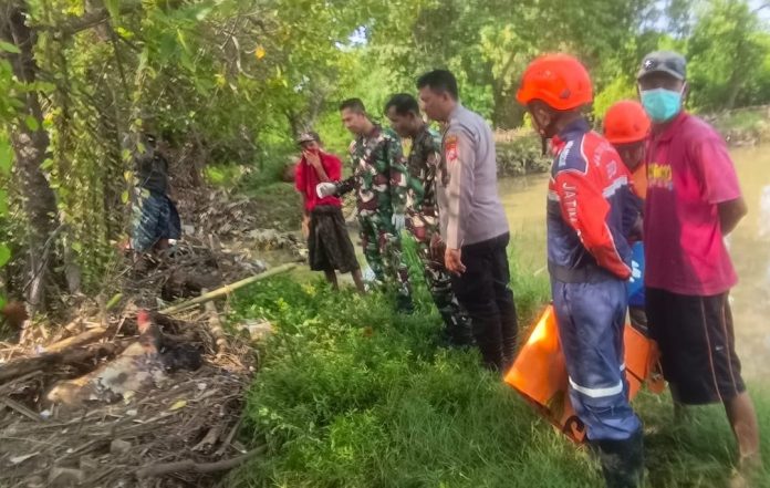 WhatsApp Image 2025-12-03 at 15.16.34