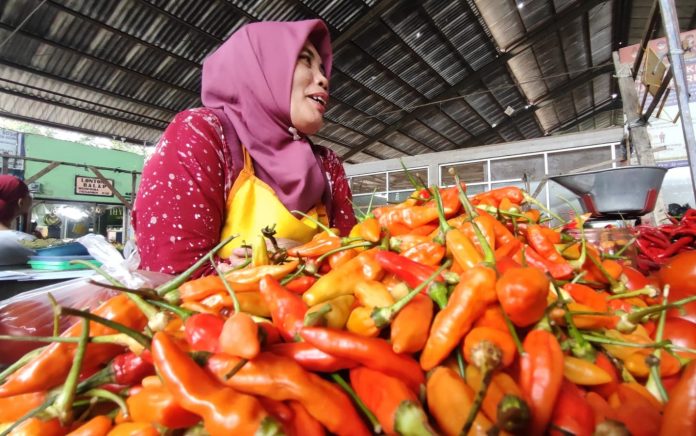 WhatsApp-Image-2025-12-09-at-11.02.00