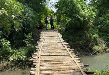 Probolinggo Ajukan 125 Jembatan Setapak ke Pemerintah Pusat, Ada Yang Gagal Karena Salah Klasifikasi