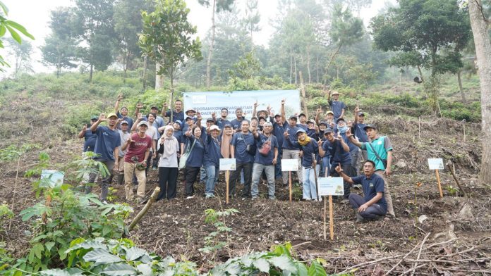 WhatsApp Image 2025-12-30 at 09.41.32