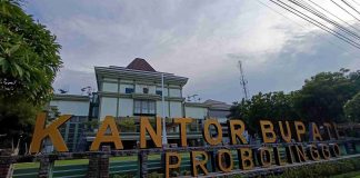 Restrukturisasi OPD Probolinggo Bergulir, Pemkab Ajukan Pecah Badan hingga Naikkan Tipe Dinas