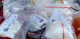 Ancaman Narkoba Mengintai Sekolah dan Desa, Pemkab Probolinggo Siapkan Satgas Terpadu P4GN