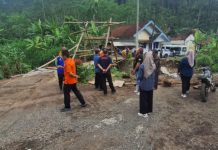 BPBD dan DPUPR Probolinggo Survei Kerusakan Jembatan di Kawasan DAS Pekalen