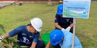 PLN IP UBP Grati Tanam 200 Pohon Glodok Tiang, Dukung Bulan K3 Nasional 2026