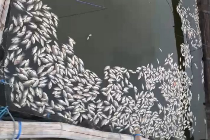 WhatsApp Image 2026-01-14 at 08.58.51