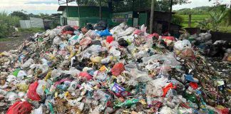 Soal Sampah Rumah Tangga dan Pasar Desa hinga Bio Paulin Bawa Pasuruan United Melangkah ke Final Liga 4 Jatim | Koran Online 14 Feb