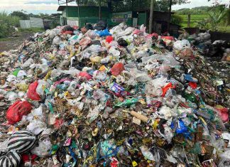 DLH Kabupaten Pasuruan: Sampah Rumah Tangga dan Pasar Desa Jadi Penyumbang Terbesar Timbulan Sampah