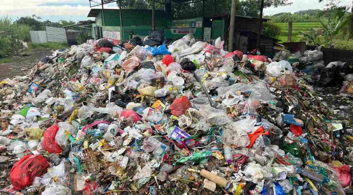 Soal Sampah Rumah Tangga dan Pasar Desa hinga Bio Paulin Bawa Pasuruan United Melangkah ke Final Liga 4 Jatim | Koran Online 14 Feb