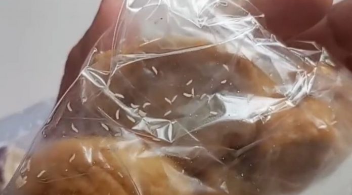 Sekda Probolinggo Tegaskan Peran Satgas MBG, Semua Kasus Sudah Dilaporkan ke Provinsi