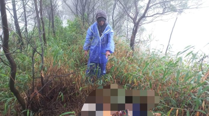 Mayat Tanpa Identitas Ditemukan di Hutan Konservasi TNBTS Tutur hingga Menu MBG Ramadan di Pandaan Jadi Sorotan | Koran Online 28 Feb