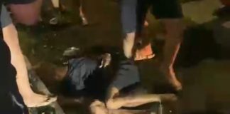 Kepergok Curi Burung Perkutut, Pelaku Diringkus Warga di Trajeng Pasuruan