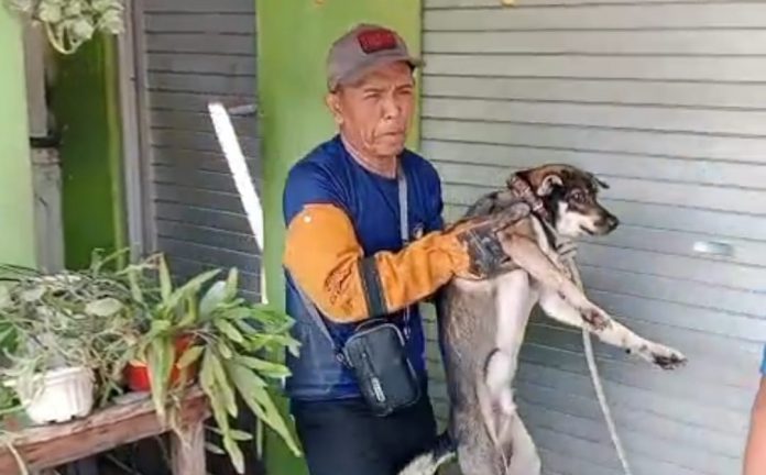 WhatsApp Image 2026-03-09 at 11.34.19