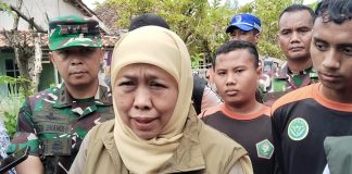 Pemprov Jatim Siapkan Benih Gratis untuk Petani Terdampak Puso di Pasuruan
