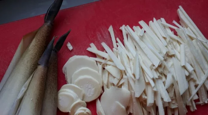 Cara Menghilangkan Bau Pesing Rebung agar Lebih Nikmat dan Tidak Bau