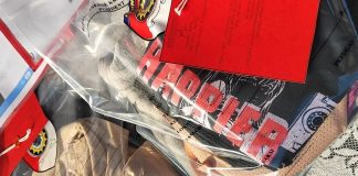 Pemuda 19 Tahun di Pasuruan Ditangkap, Diduga Setubuhi Anak di Kamar Kos