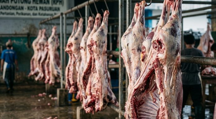 Dinas Ungkap Penyebab Pedagang dan Jagal Sapi di Kota Pasuruan Sempat Mogok