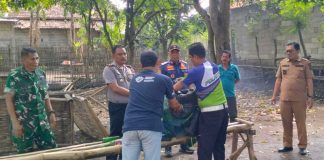 Judi di Belakang Rumah Kades Tanjungrejo Terbongkar, Pemkab Probolinggo Turun Tangan