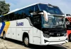 Incar Karier di BUMN Transportasi? DAMRI Buka Lowongan Kerja di Posisi Strategis Ini