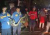 Resahkan Warga hingga Wisatawan, Ular Piton 3 Meter di Jalur Wisata Bromo Gondang Wetan Ditangkap Damkar