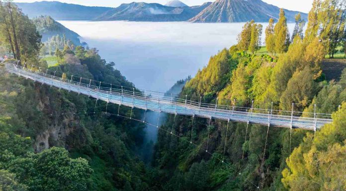 Jembatan Kaca Bromo Siap Beroperasi Akhir Juni, Bidik Lonjakan Wisatawan Libur Sekolah