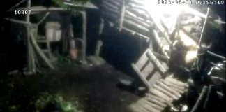 Sudah Tiga Kali Kehilangan, Warga Lekok Akhirnya Rekam Pencuri Kambing Lewat CCTV